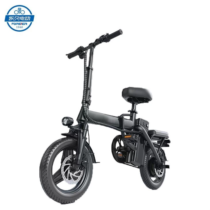 Foldable Electric Bike